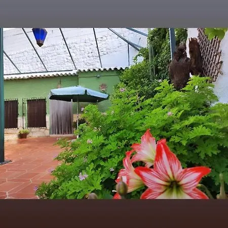 Appartement Cueva Rural El Sendero à Pegalajar Extérieur photo